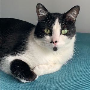 Meet your Posher, Iulia